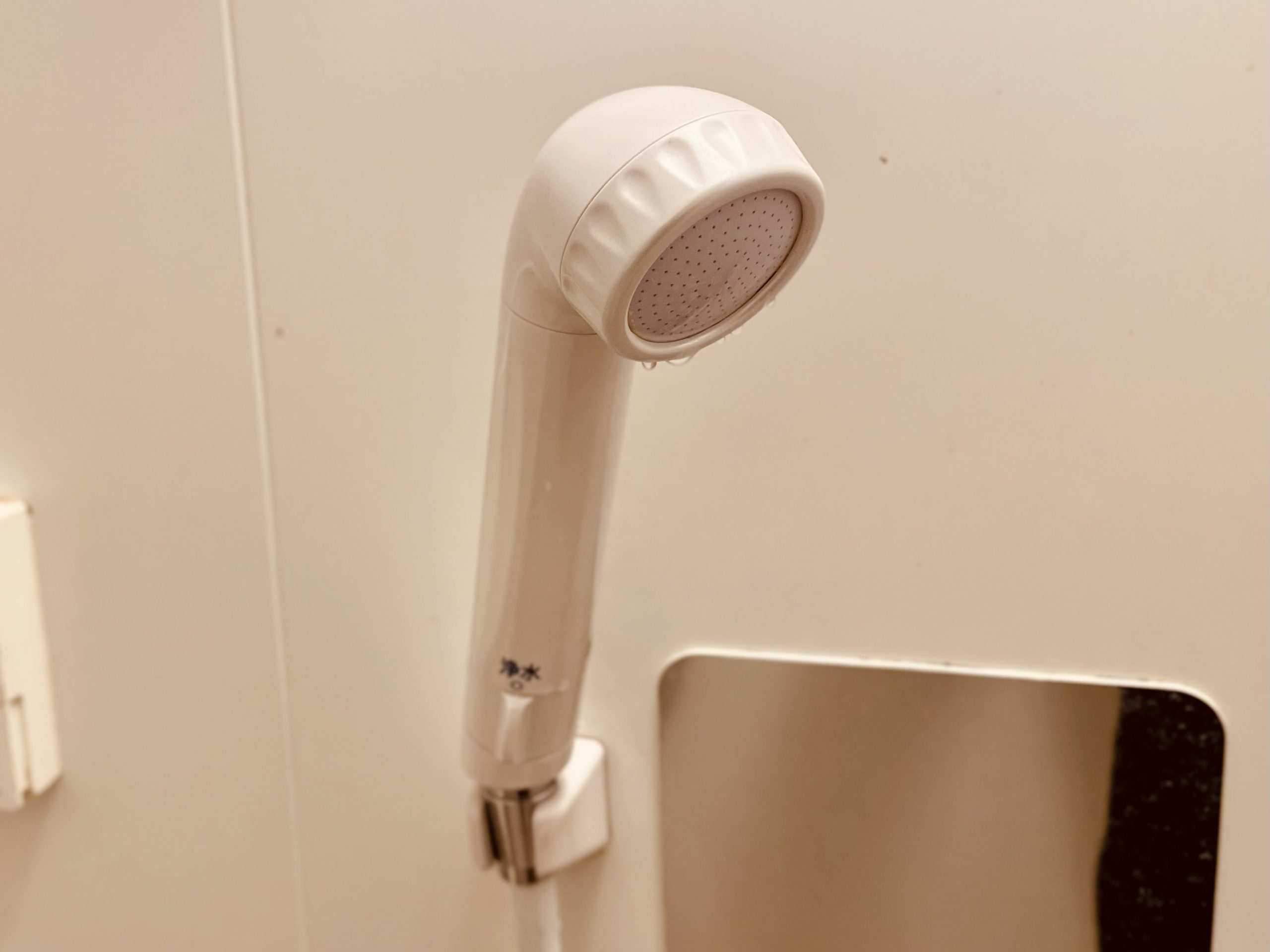 レビュー】素粒水セラピーシャワーは怪しい？効果・仕組み・防災